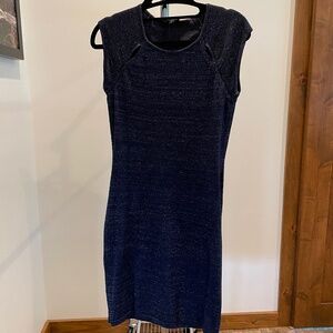 Express Navy sparkle sweater dress